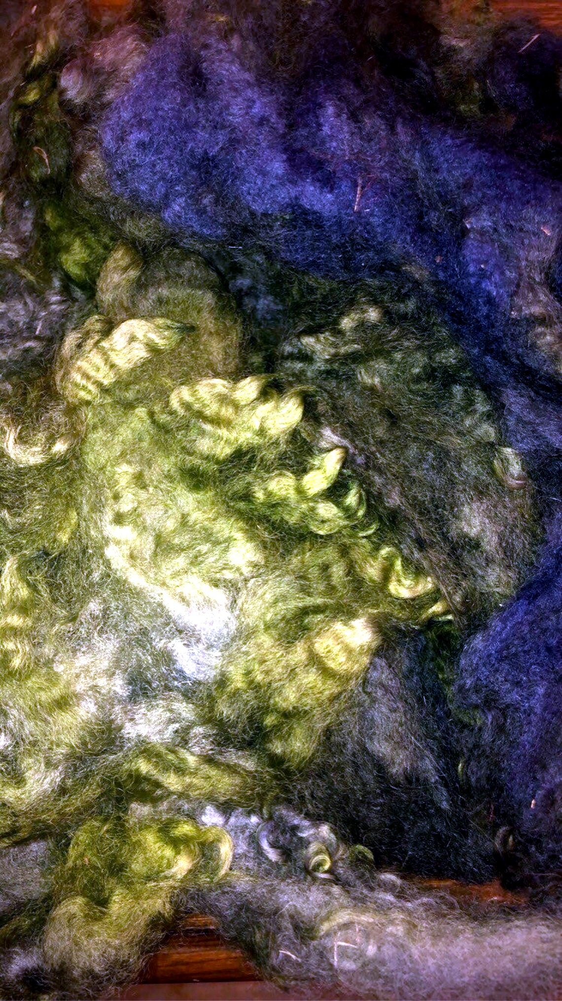 Rainforest Hand-dyed Romney Wool thumbnail 2