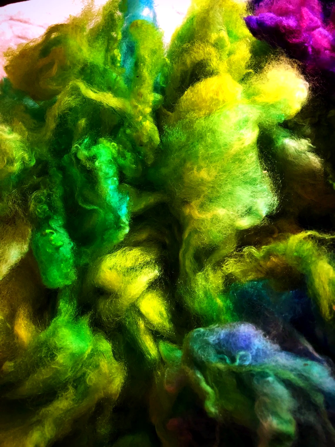 Tropical Paradise Hand-dyed Finn thumbnail 3